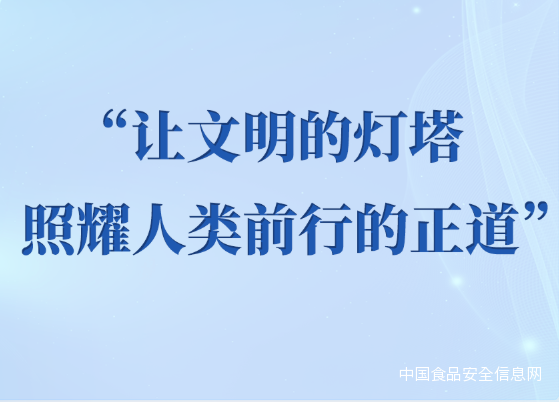 “让文明的灯塔照耀人类前行的正道”